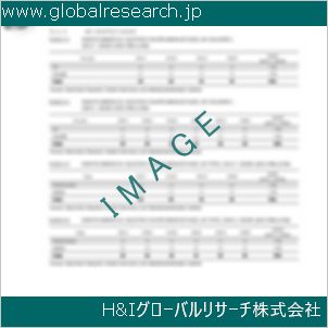 グローバルリサーチ調査資料のイメージ